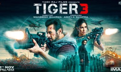 Tiger 3 Day 29 Box Office Collection Worldwide Tiger 3