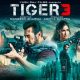 Tiger 3 Day 29 Box Office Collection Worldwide Tiger 3