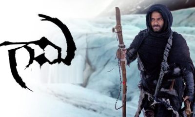 Gaami Day 21 Box Office Collection Worldwide Gaami, movie box office